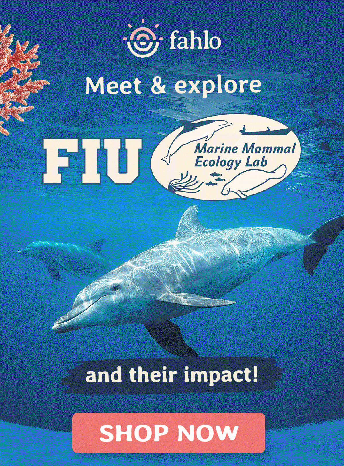FIU conducts research on marine mammal ecology to plan conservation strategies. Shop Now and make an impact!