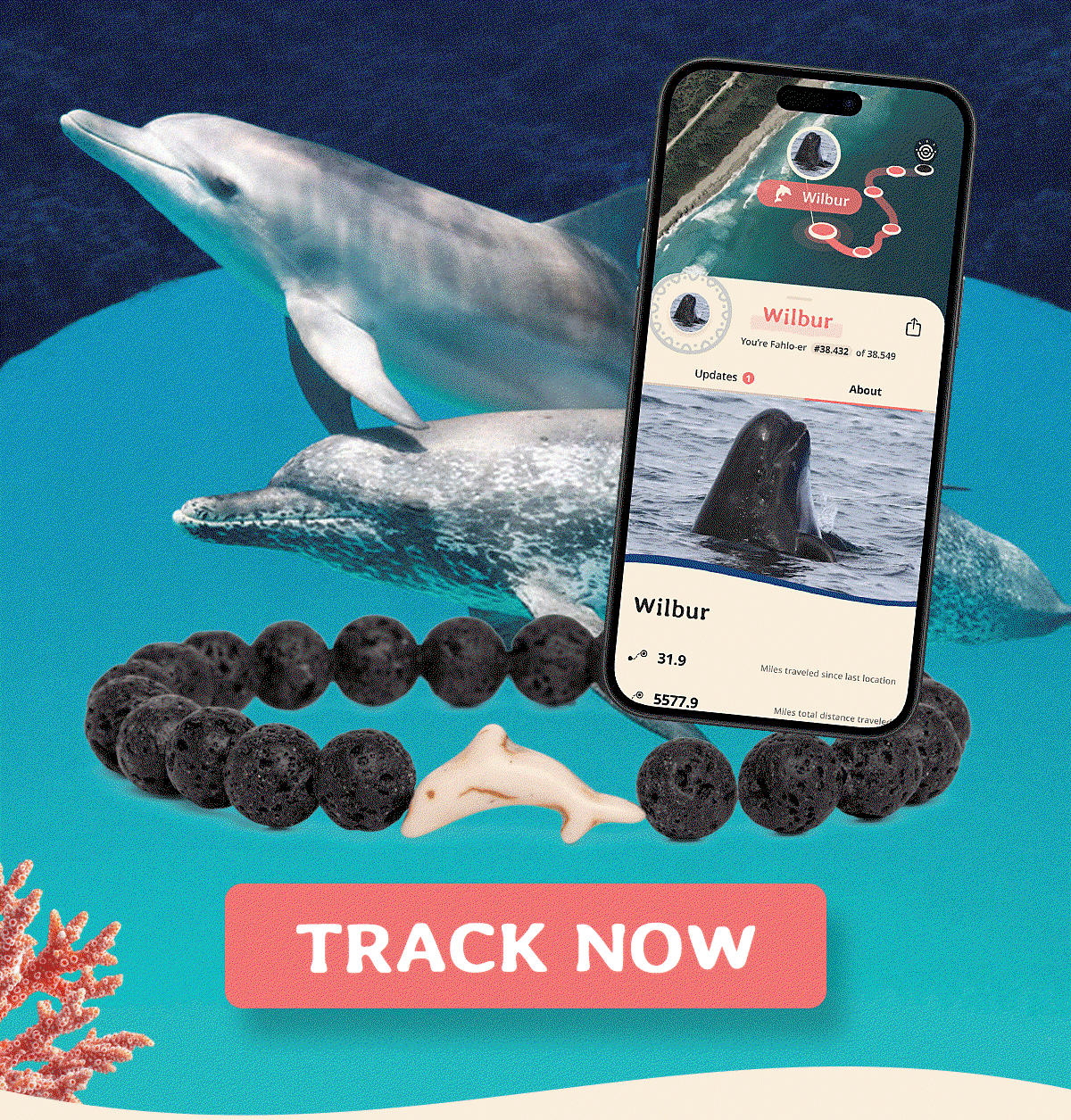 Track a real dolphin today! Every bracelet helps the FIU mission!