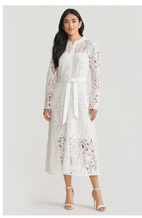 Fit-N-Flare Lined Laced Midi Dress