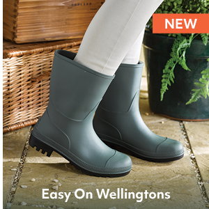 Easy On Wellingtons
