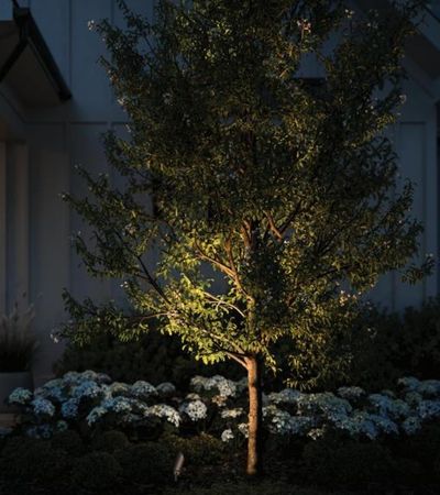 ACCENT LIGHTS