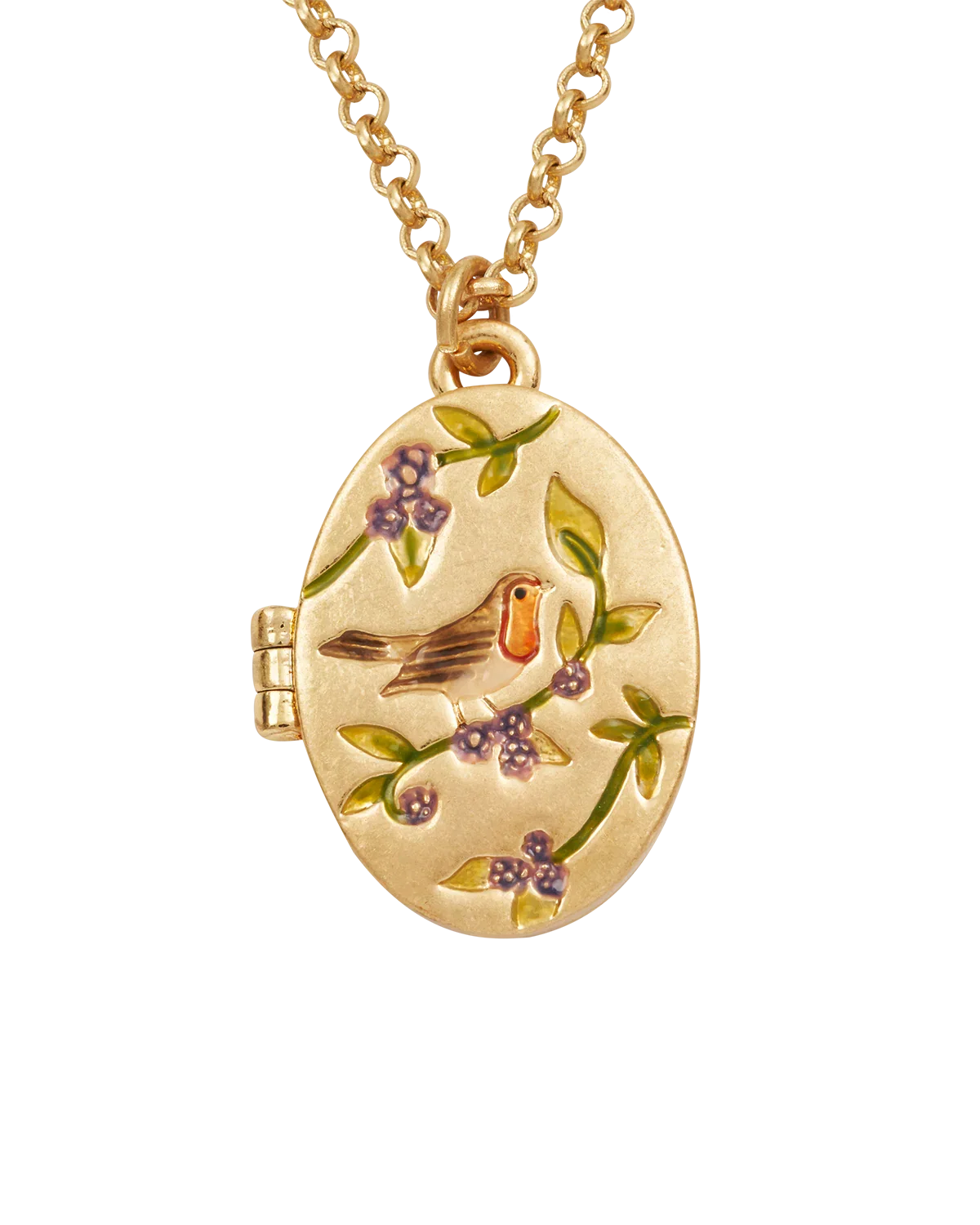 Image of Gold Robin & Blackberry Locket Necklace