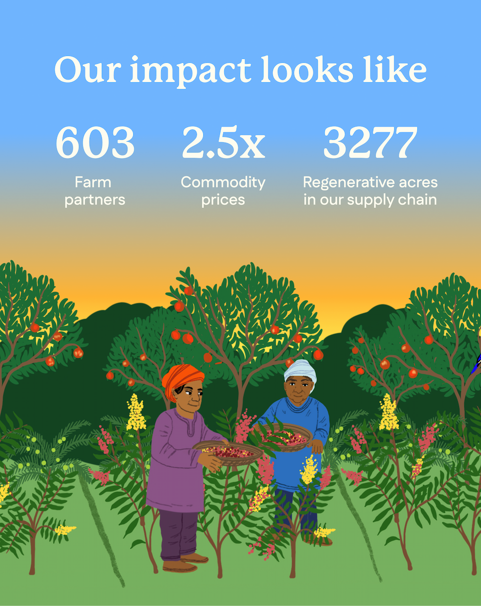 Our Impact Looks Like: 603 farm partners, 2.5x commodity prices, 3277 regenerative acres in our supply chain