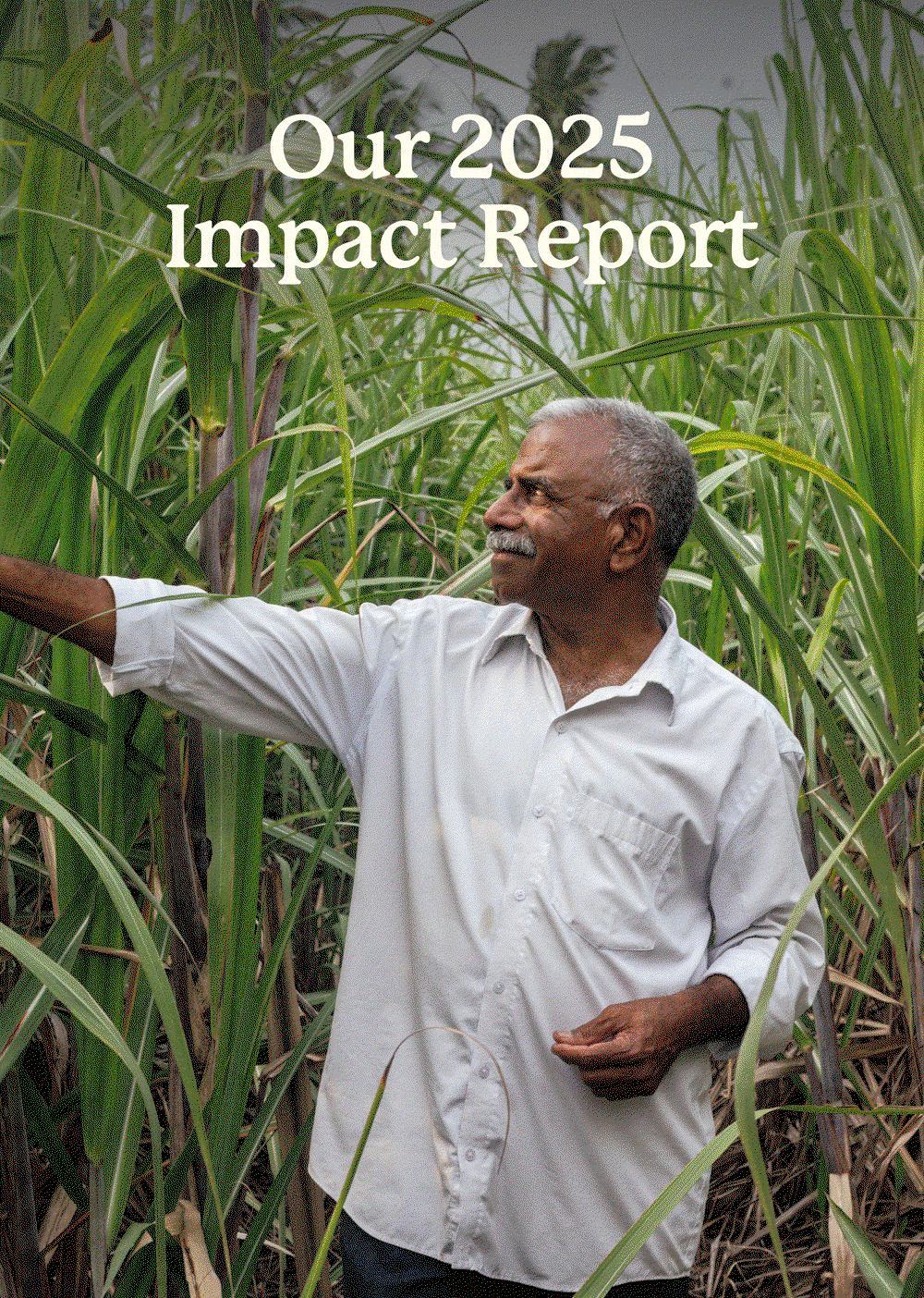 Our 2025 Impact Report