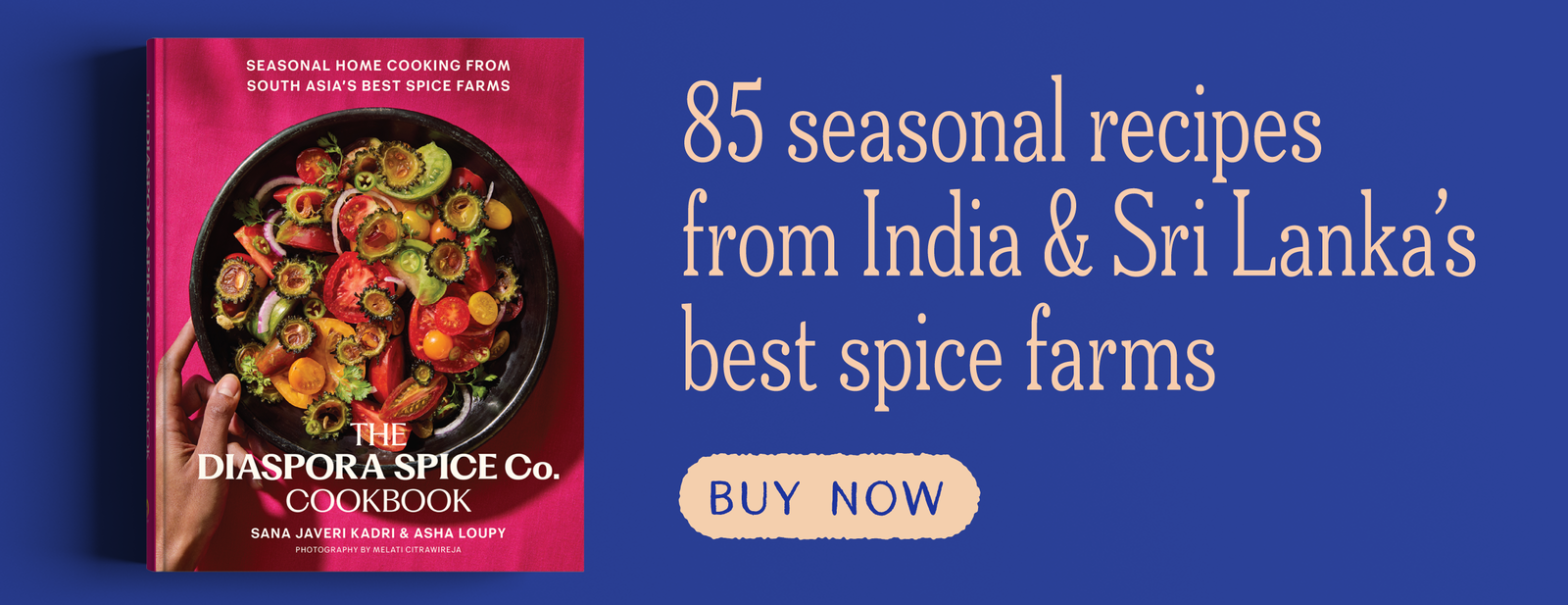 Buy the Diaspora Spice Co. Cookbook 