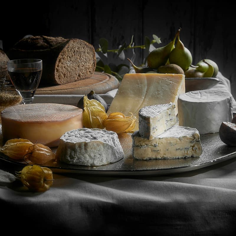 The Pong Cheese Extravaganza