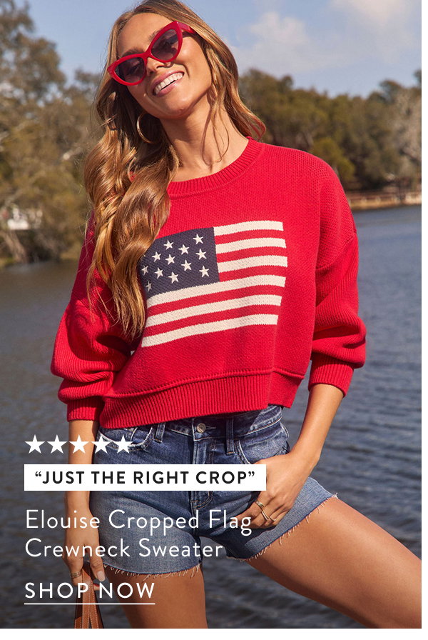 Elouise Cropped Flag Crewneck Sweater