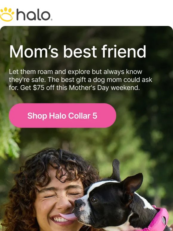 Dog moms deserve this. Save $75.