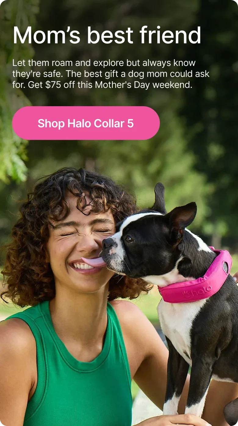 Mother's Day is tomorrow. Give the dog mom who has everything the one thing she really wants, peace of mind for $75 off Halo Collar 5.