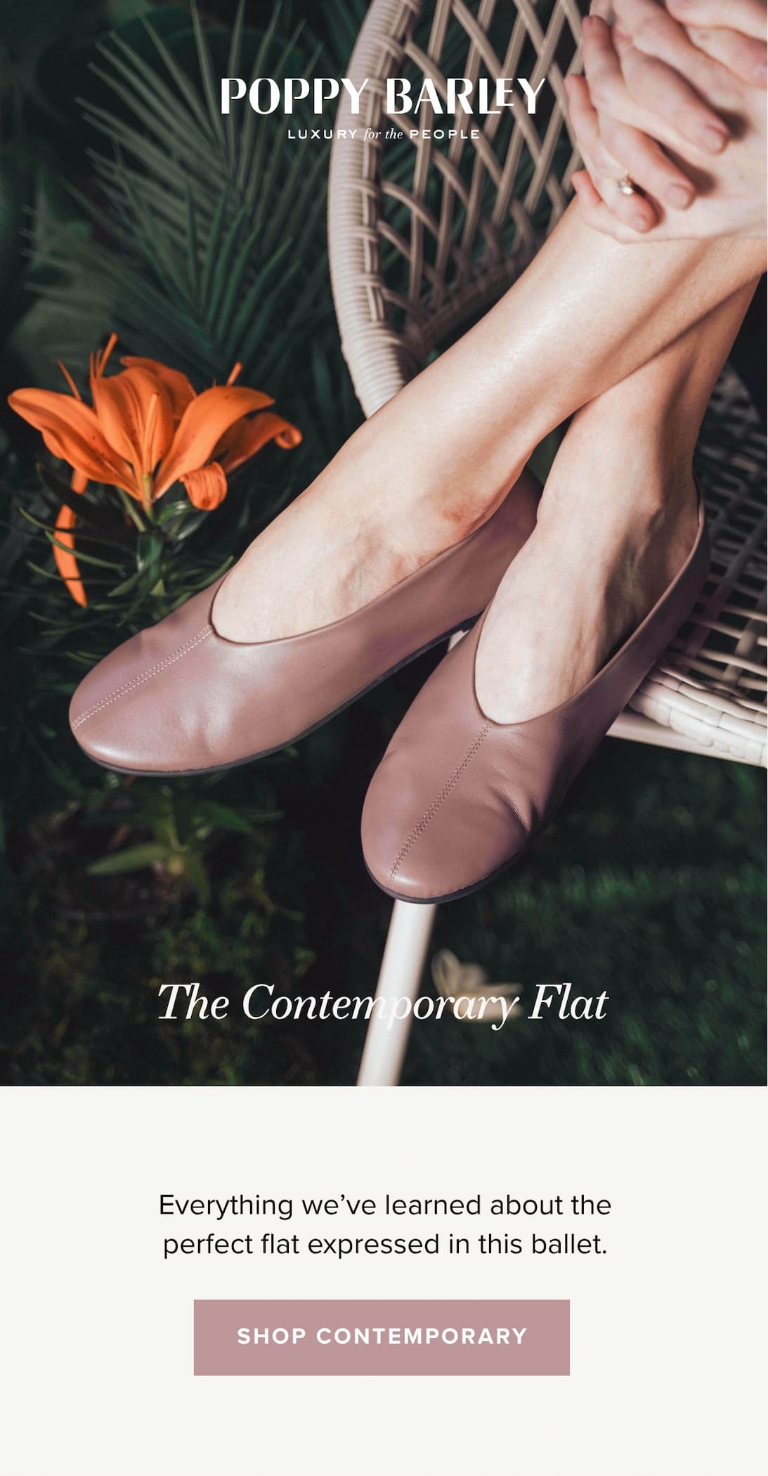 Shop The Contemporary