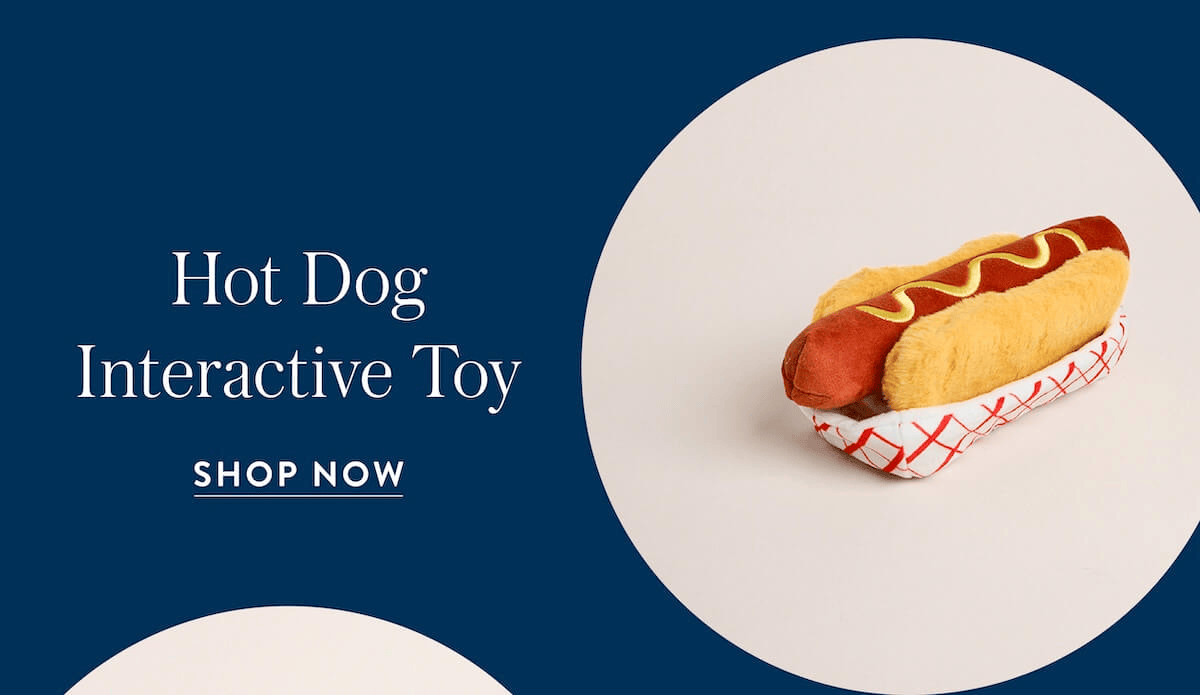 Shop the Hot Dog Interactive TOY