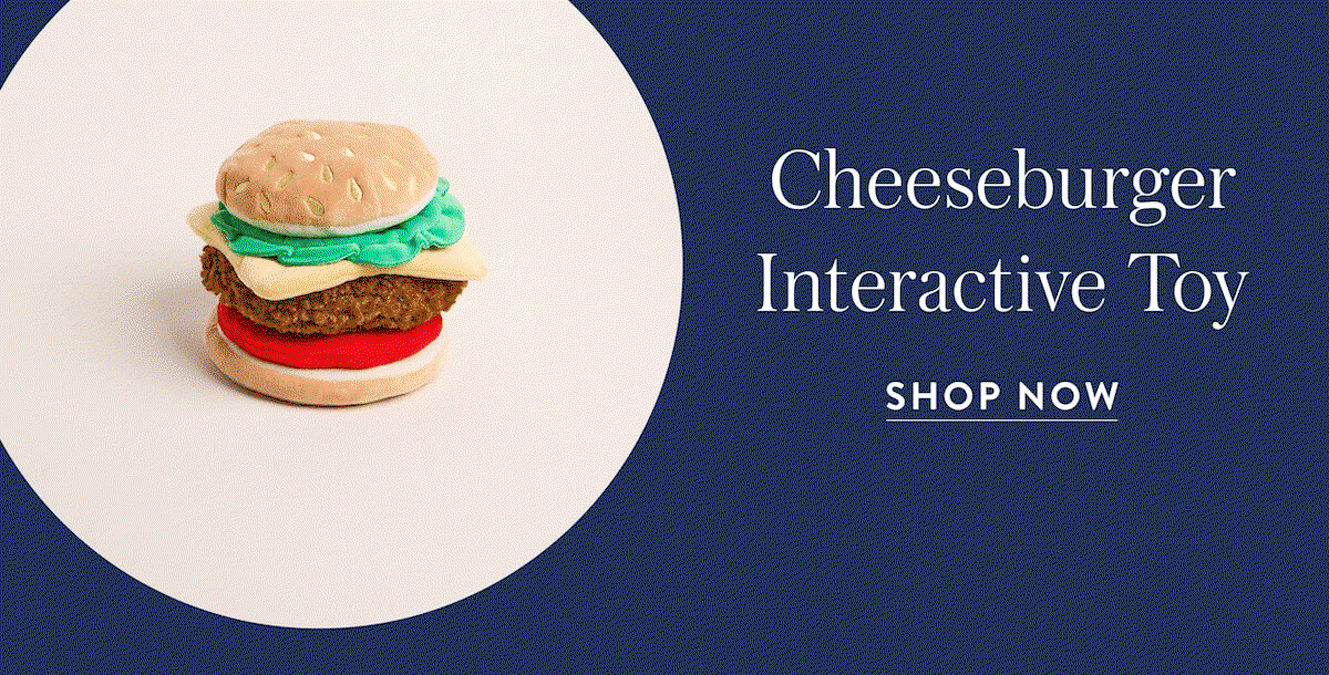 Shop the Burger Interactive TOY