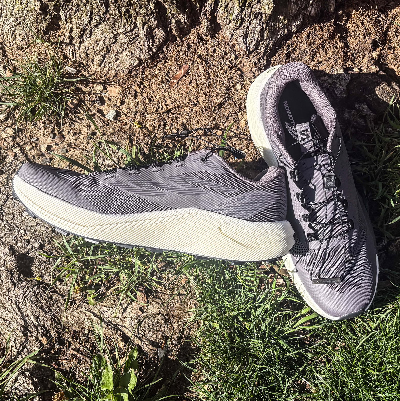 Singletrack or Technical Trails, the Salomon Pulsars Will Guide You