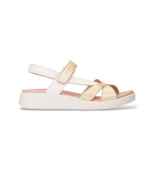 multicoloured-golden-crossed-sandals