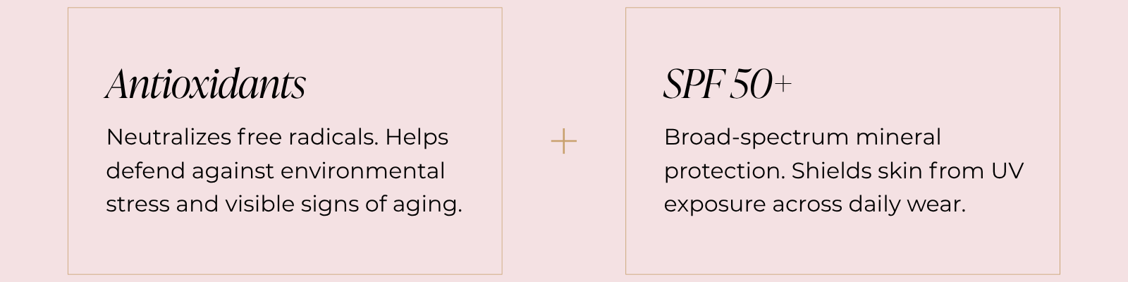 Antioxidants + SPF 50+