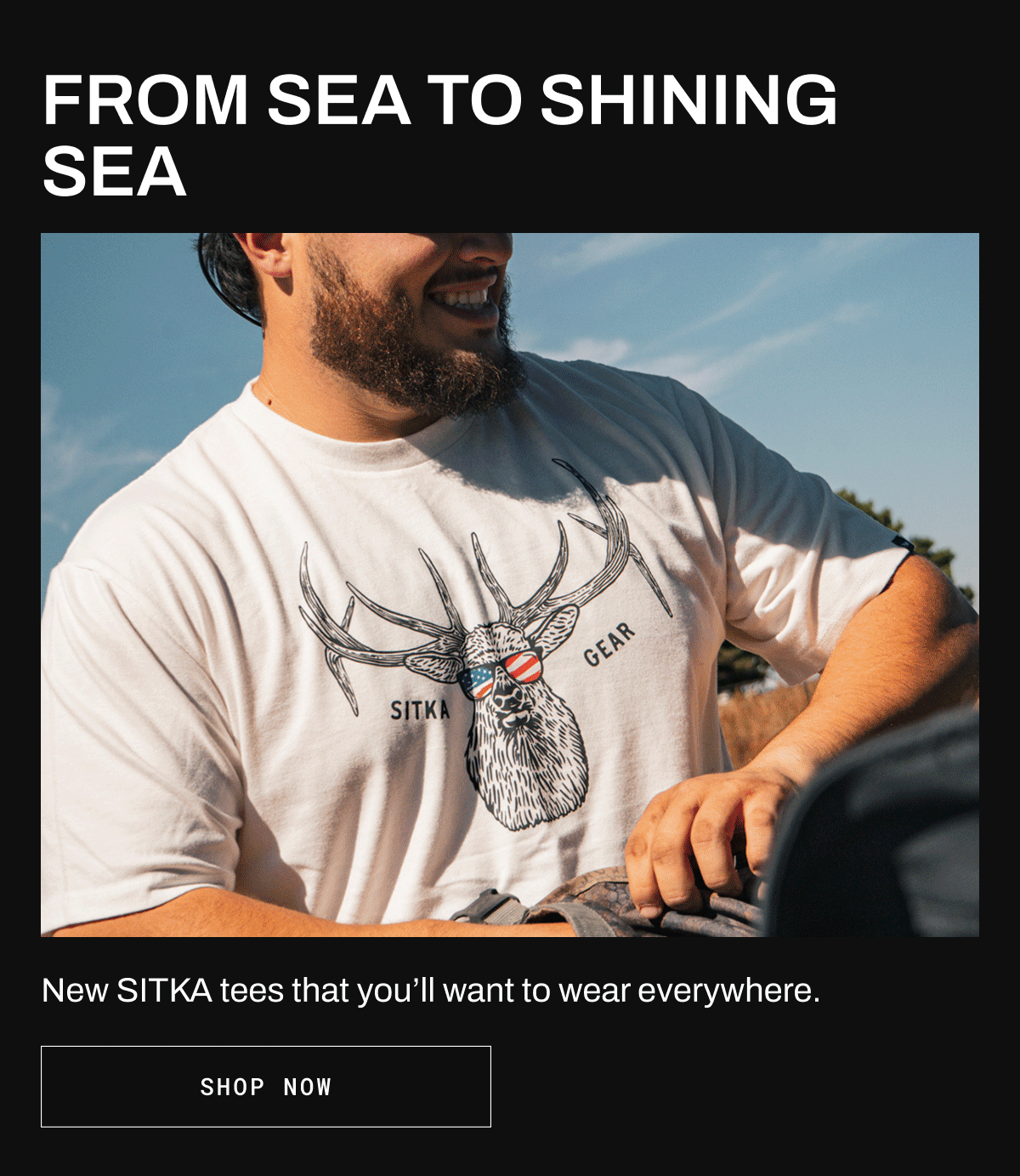 AMERICANA TEES | SHOP NOW