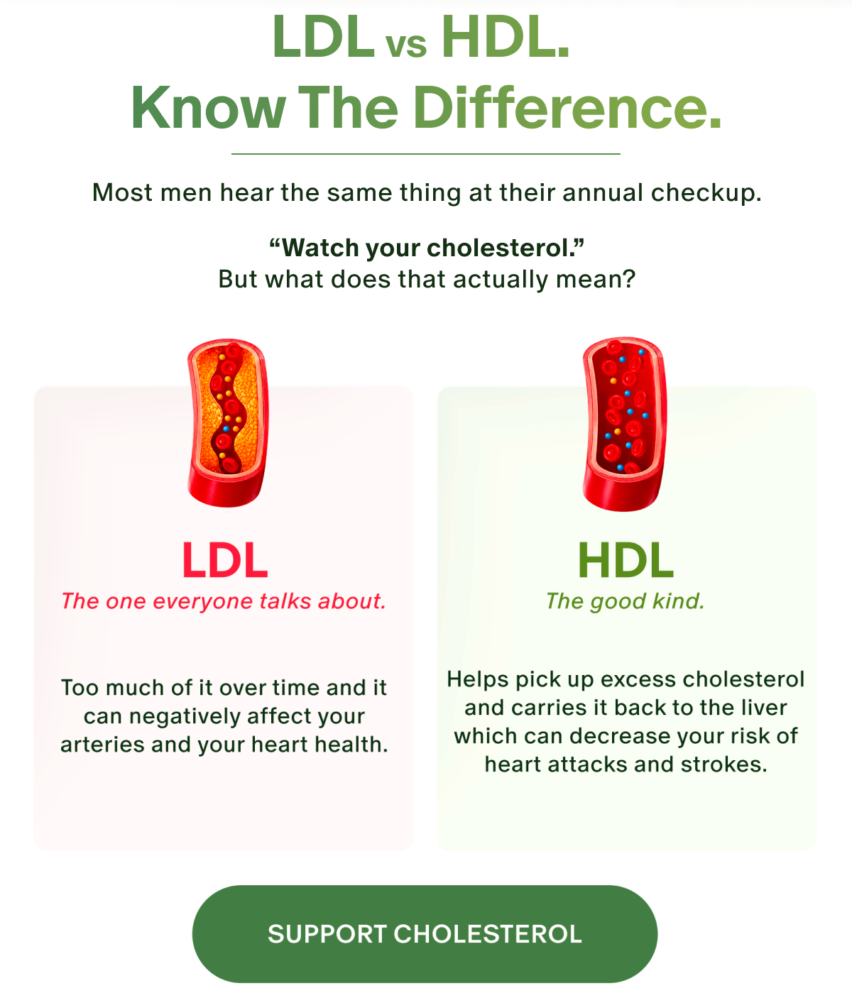 LDL vs HDL
