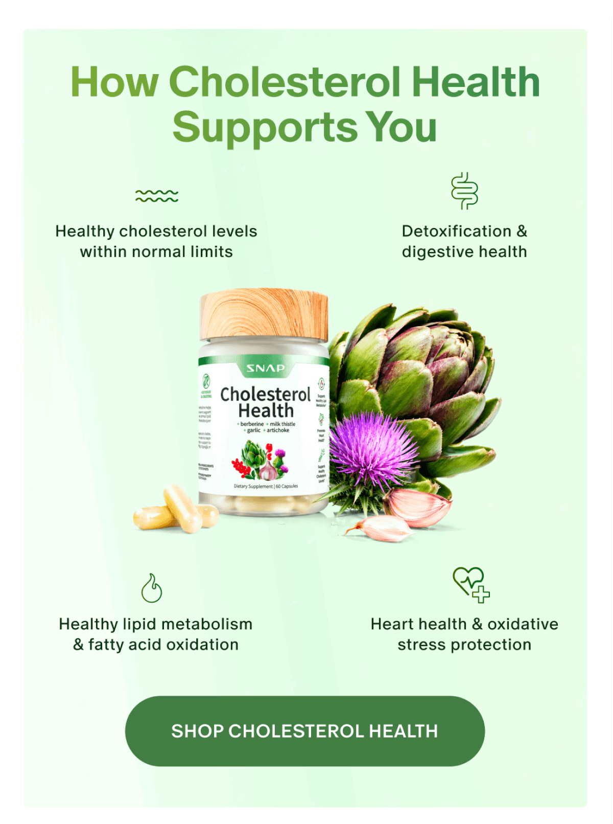 How Cholesterol Health Supports you