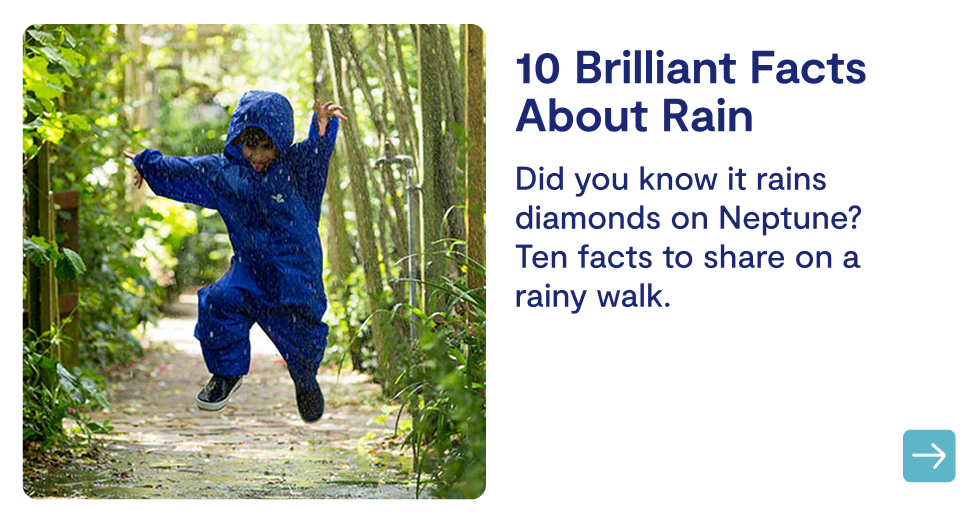 10 Brilliant Facts About Rain