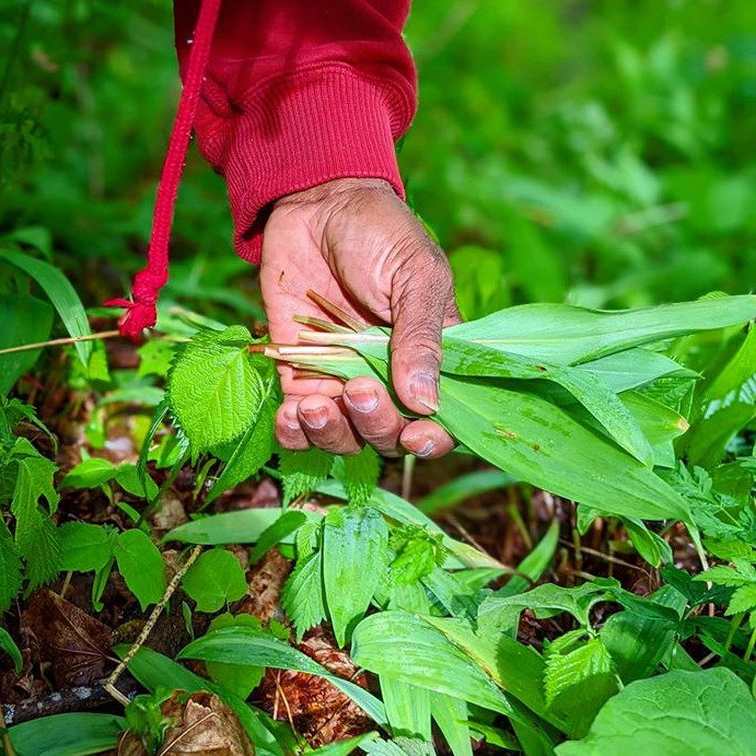Wild Ramps from Burlap & Barrel