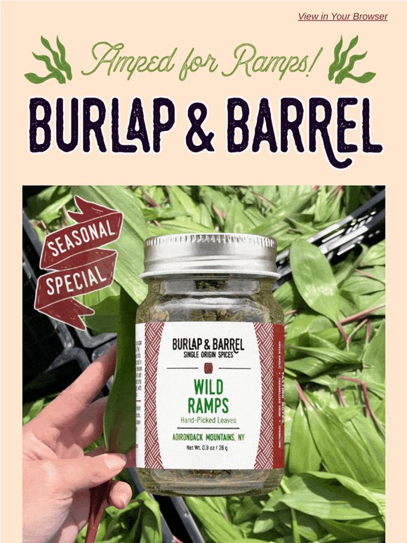 A Rare Taste of Spring: Wild Ramps 🌱