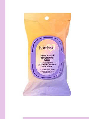 Antibacterial Toy Cleaning Wipes - Hott Love