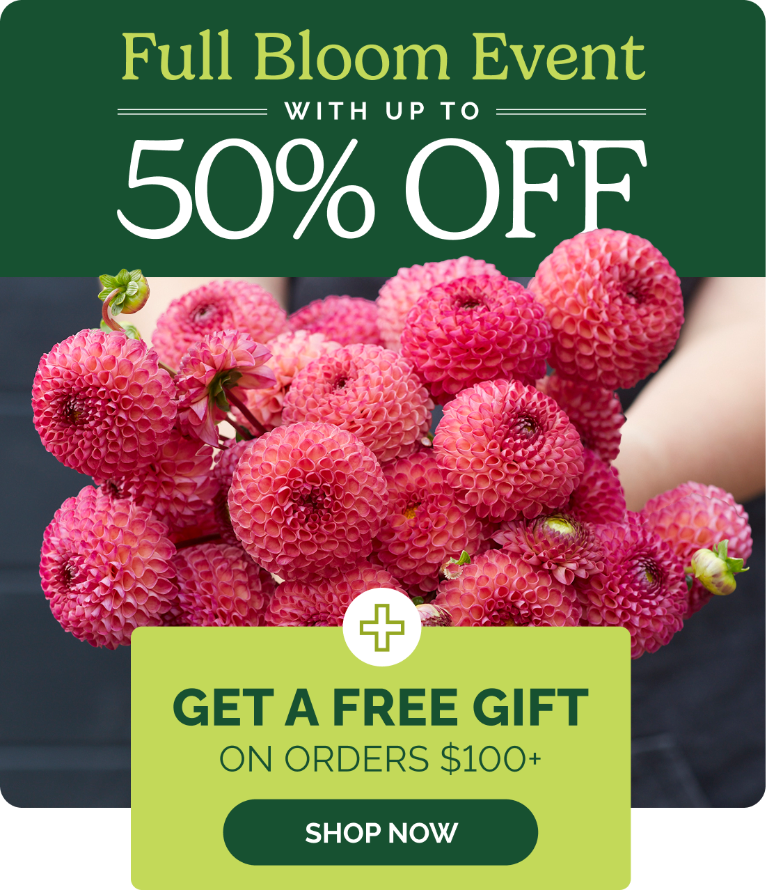 Full Bloom Event with up to 50% off; Get a free gift on orders $100+; SHOP NOW