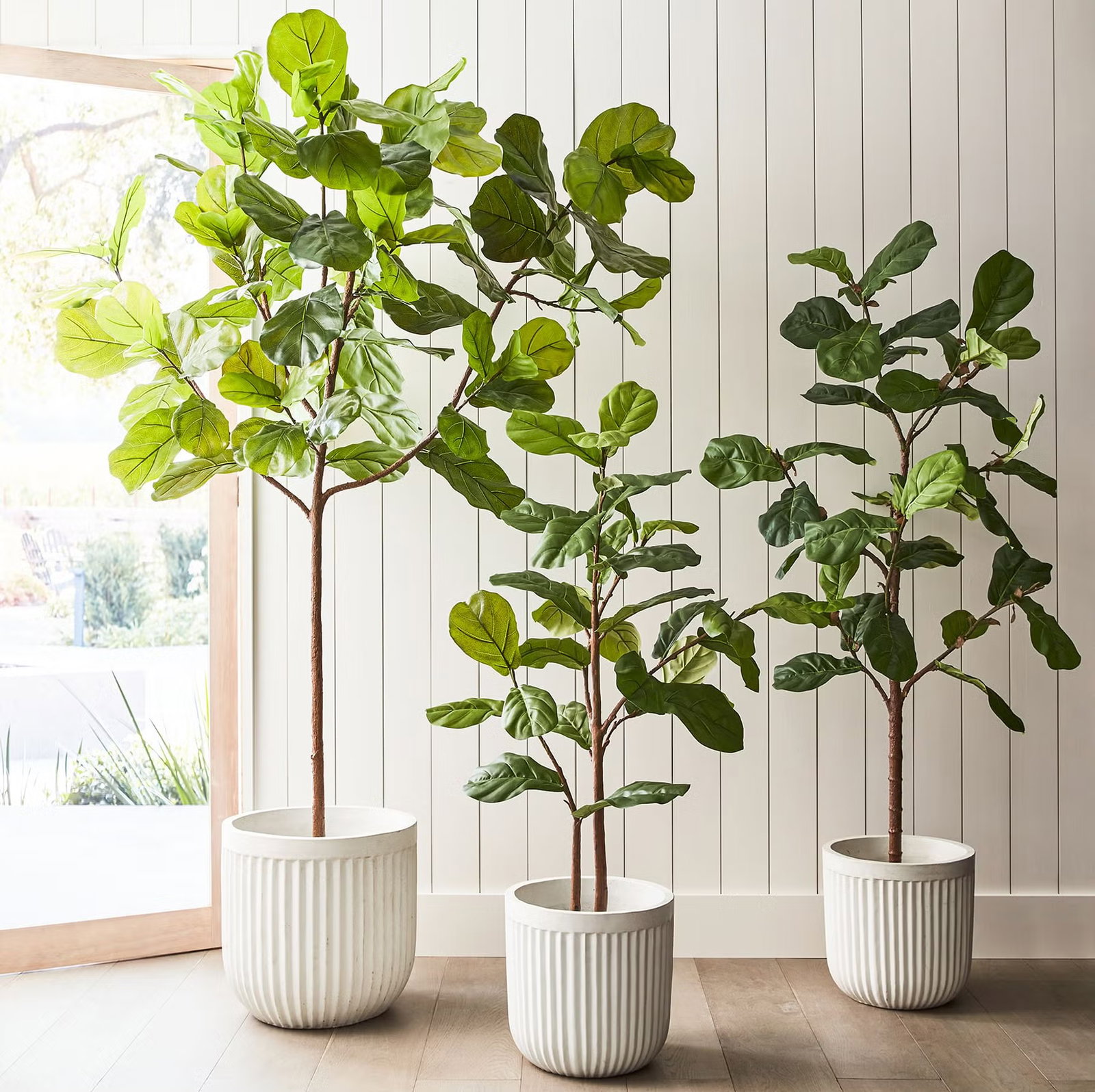 12 Best Faux Fiddle Leaf Fig Trees to Spruce Up Your Space