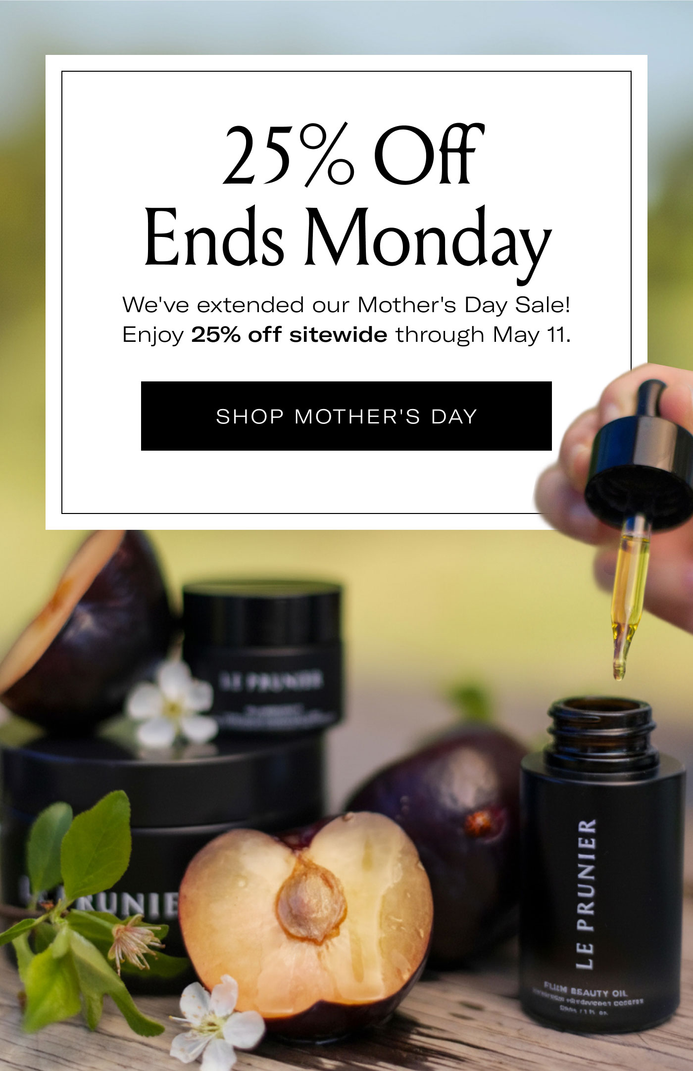 25% Off Ends Monday  We've extended our Mother's Day Sale! Enjoy 25% off sitewide through May 11.  SHOP MOTHER'S DAY