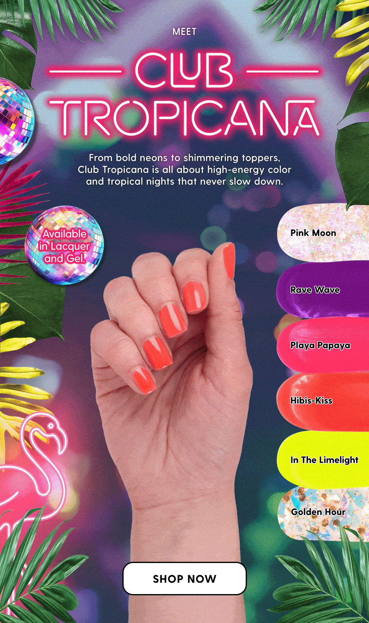 Summer 2026: Club Tropicana