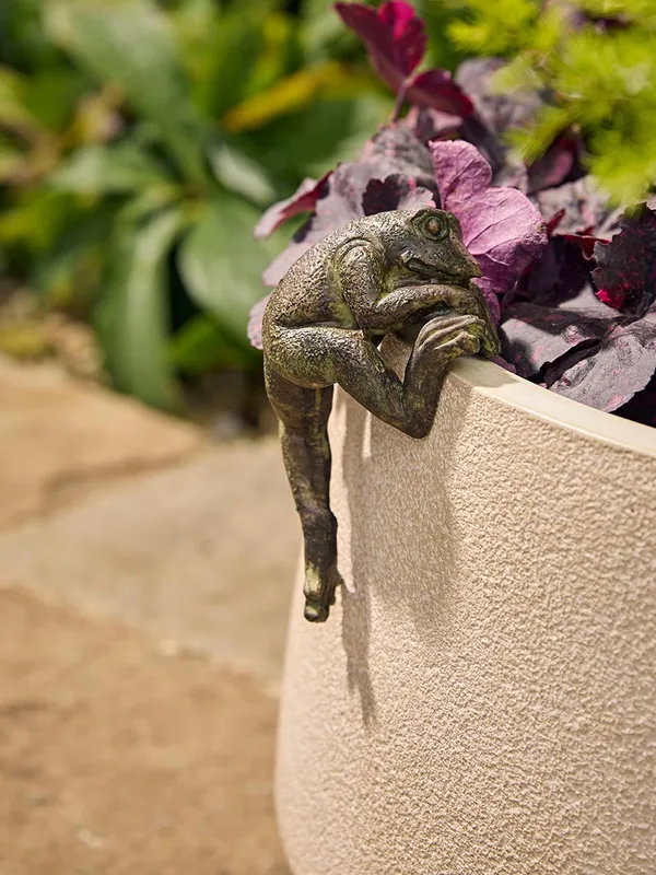 Freddie Frog Pot Hanger