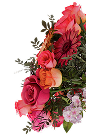 Get 50% off Mum's card with code: 50MUM