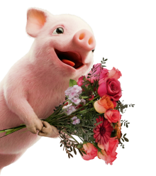 Get 50% off Mum's card with code: 50MUM