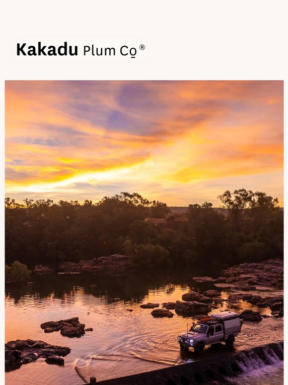 Under Kimberley Skies: Experiencing the Ord Valley Muster