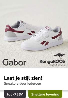 Campaign 4