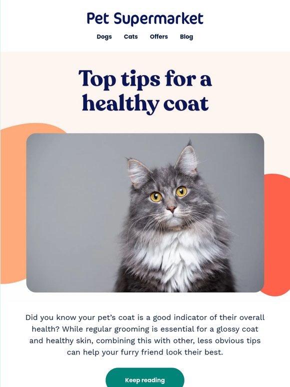 Simple tips for a shinier coat ✨