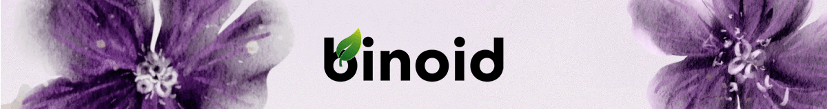 Binoid 