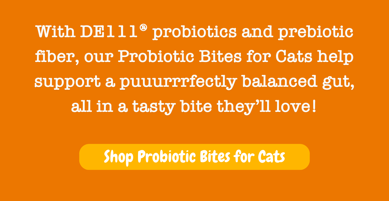 With DE111® probiotics and prebiotic fiber, our Probiotic Bites for Cats help support a puuurrrfectly balanced gut, all in a tasty bite they’ll love! Shop Probiotic Bites for Cats
