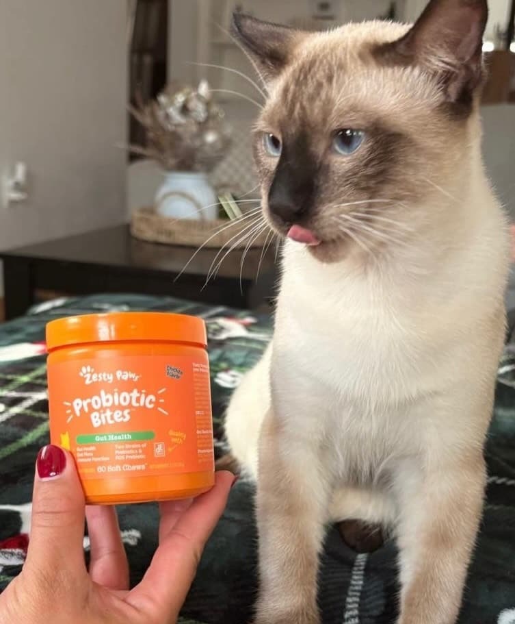 [Cat with jar of Probiotic Bites]