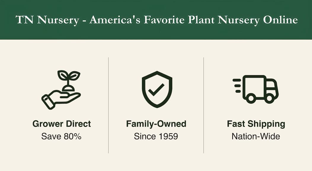 Why choose TN Nursery?
