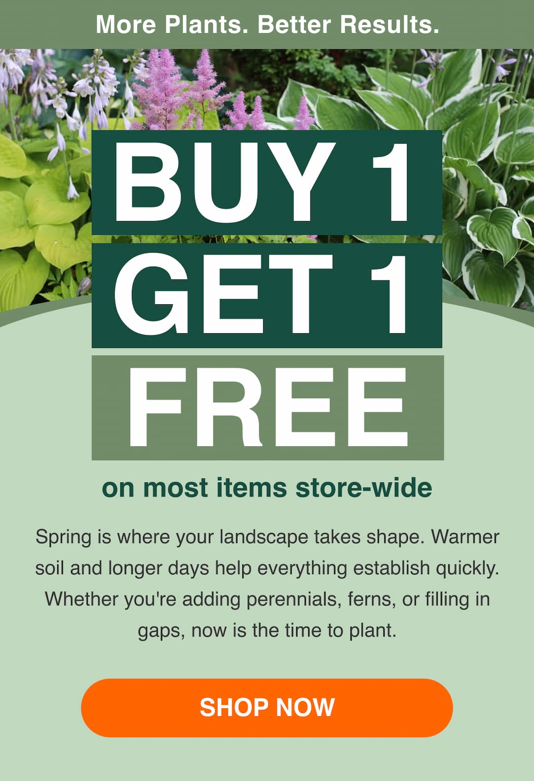 Buy 1, Get 1 Free on most items store-wide.