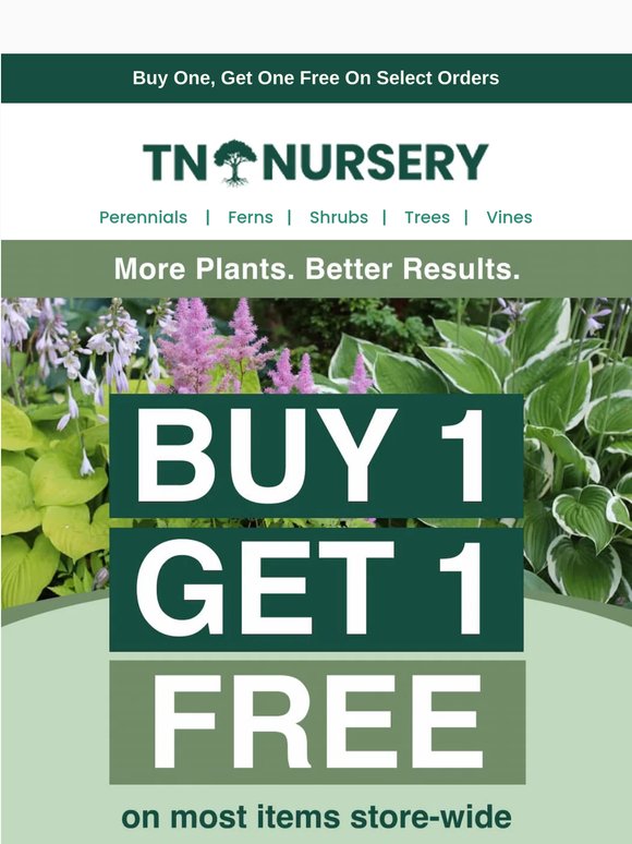 Spring Savings: BOGO on Most Plants! 🌱