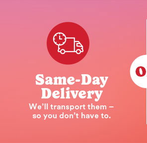 Same-Day Delivery We'll transport them - so you don't have to.