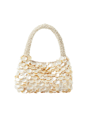 Mother of Pearl Beaded Bag
