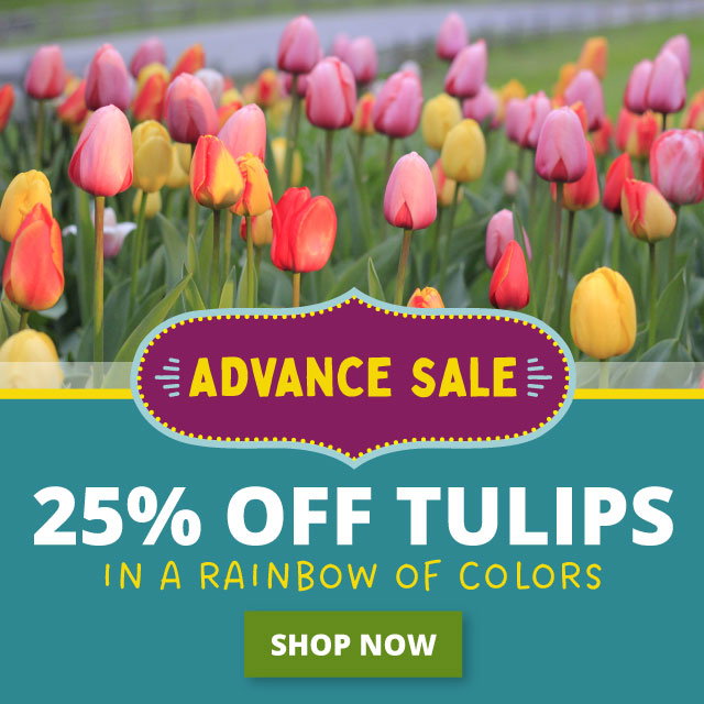 Advance sale