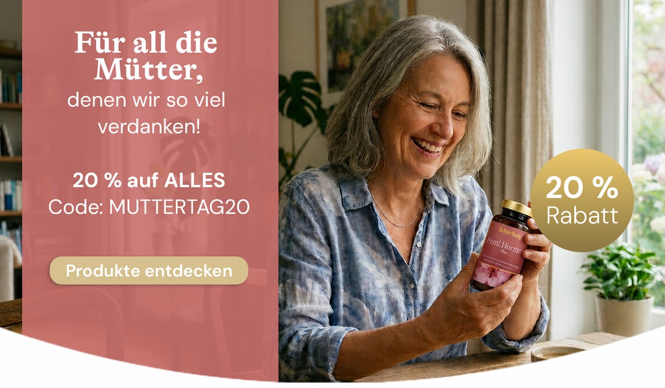 Aktuelle Angebote
