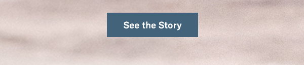 See the Story