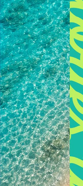 Summer Sale