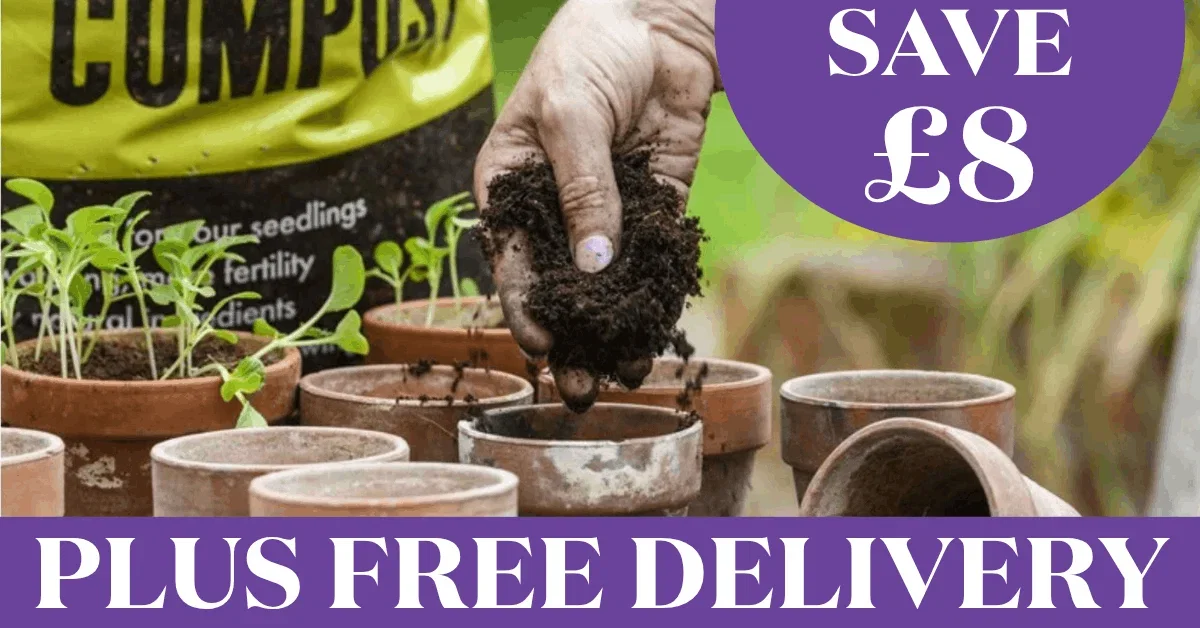 Save £8 on twin bags