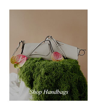 Shop Handbags